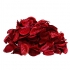 گل خشک كیلویی قرمز
