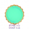 Green pastel plate of 10 pieces