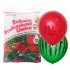 Yalda watermelon latex balloon
